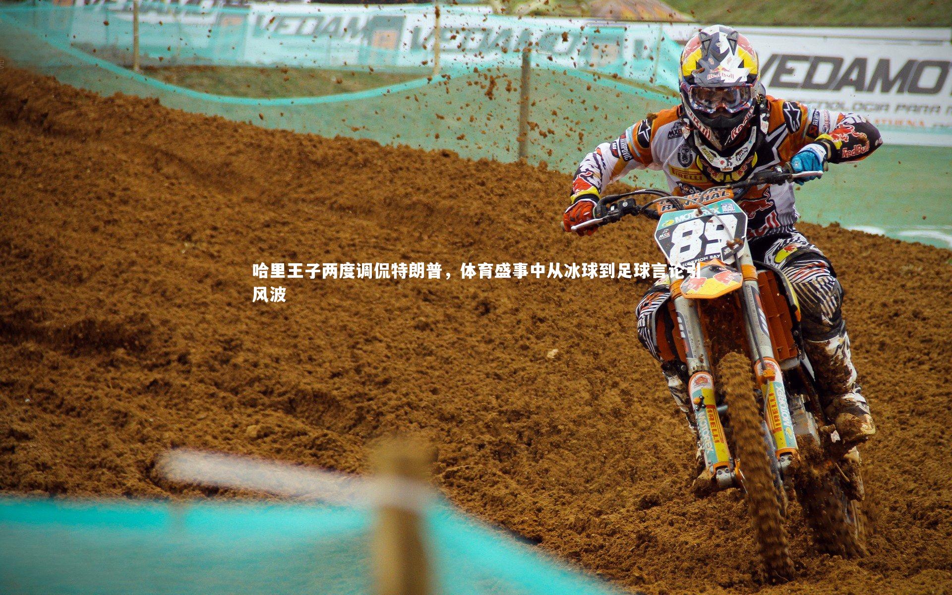 哈里王子两度调侃特朗普,体育盛事中从冰球到足球言论引风波