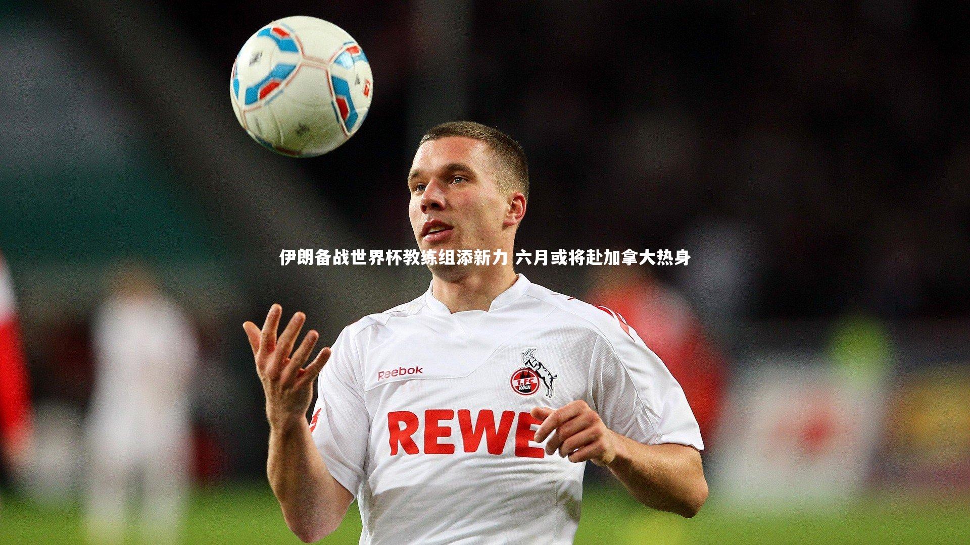 伊朗备战世界杯教练组添新力 六月或将赴加拿大热身